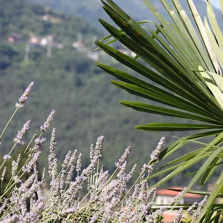 Balcone Fiorito 3* Menaggio