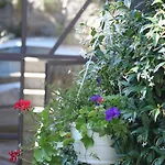 فندق مبيت وإفطار Balcone Fiorito
