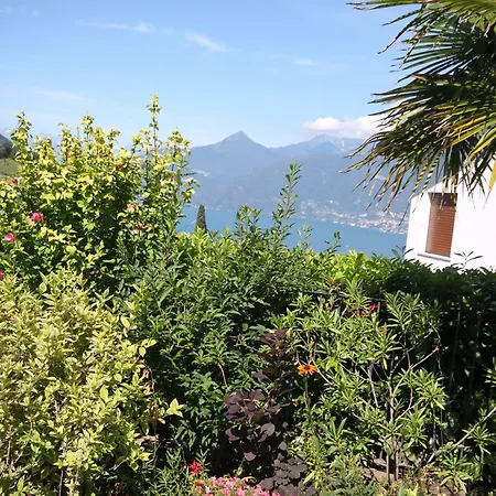 Balcone Fiorito Bed & Breakfast