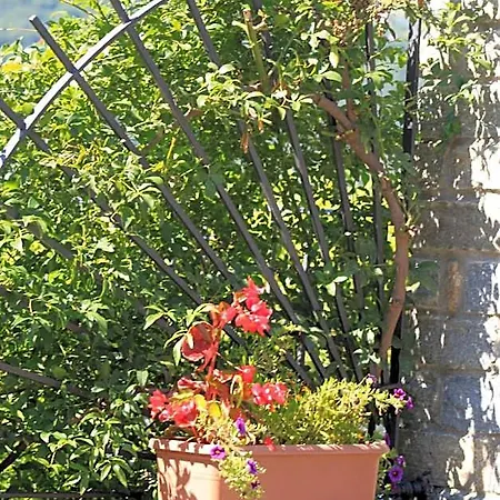 Nocleg ze śniadaniem Balcone Fiorito 3*