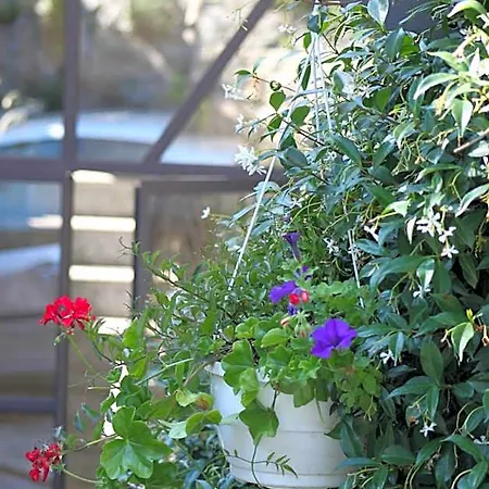Nocleg ze śniadaniem Balcone Fiorito