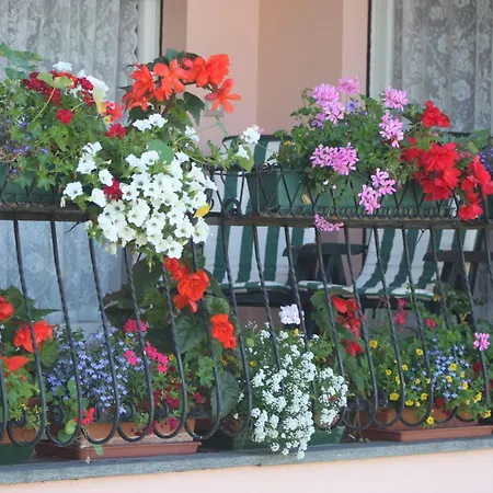 ベッド・アンド・ブレックファスト Balcone Fiorito *