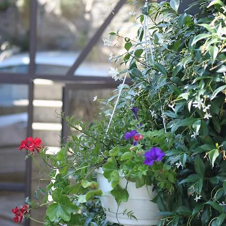 فندق مبيت وإفطار Balcone Fiorito