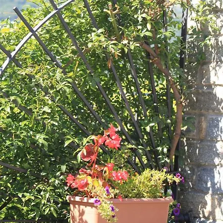ベッド・アンド・ブレックファスト Balcone Fiorito