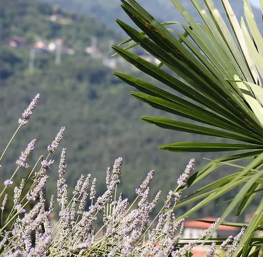Balcone Fiorito 3* Menaggio