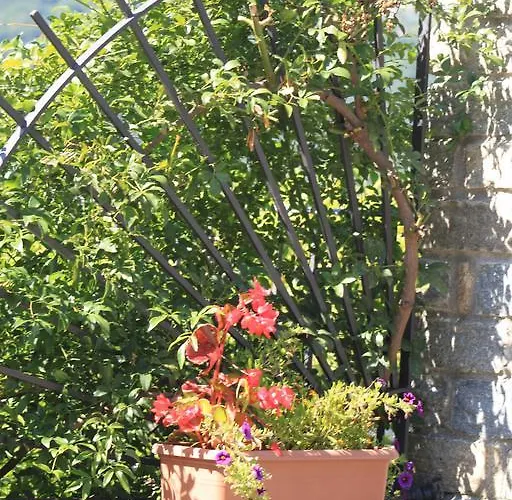 Bed & Breakfast Balcone Fiorito