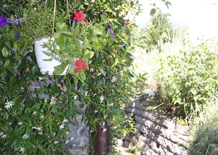 Balcone Fiorito B&B 3*